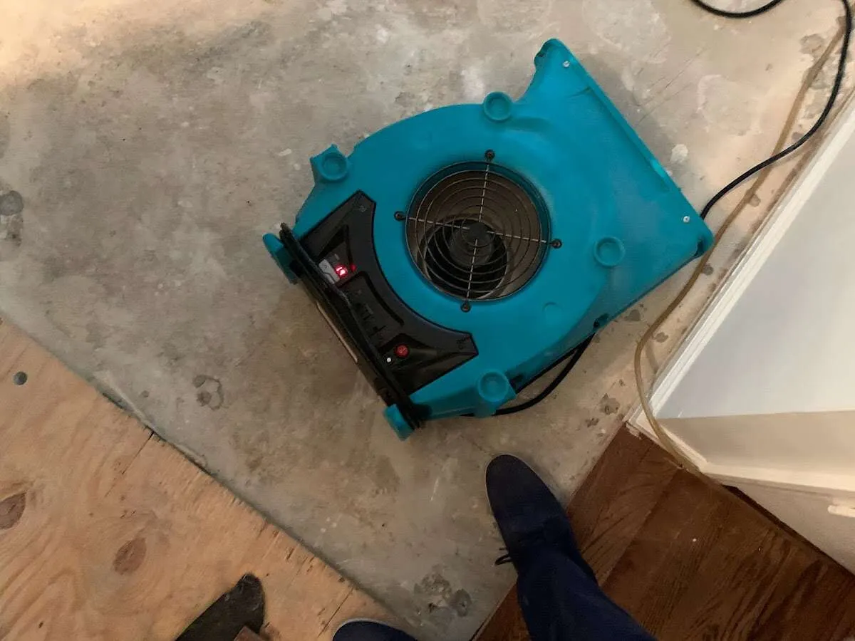 Air mover drying subfloor during Leak Detection & Repair in West Seneca